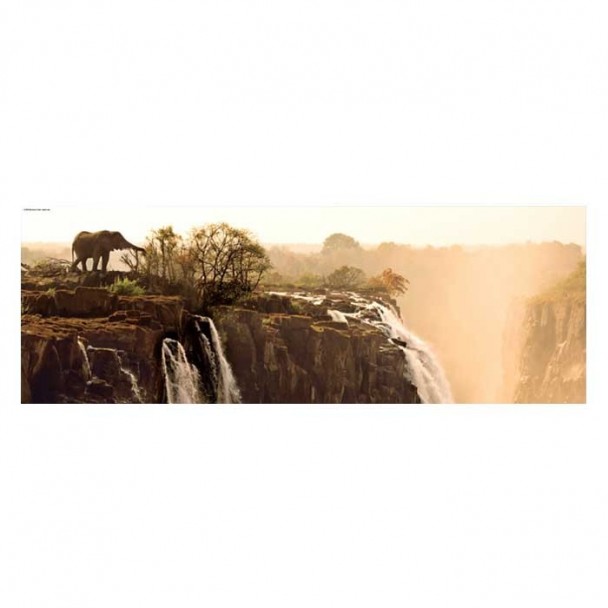 Puzzle 1000 Piezas Elephant