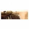 Puzzle 1000 Piezas Elephant