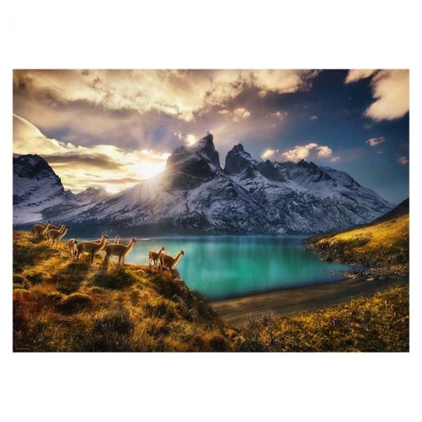 Puzzle 1000 Piezas Guanacos