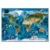 Puzzle 2000 Piezas Satellite Map