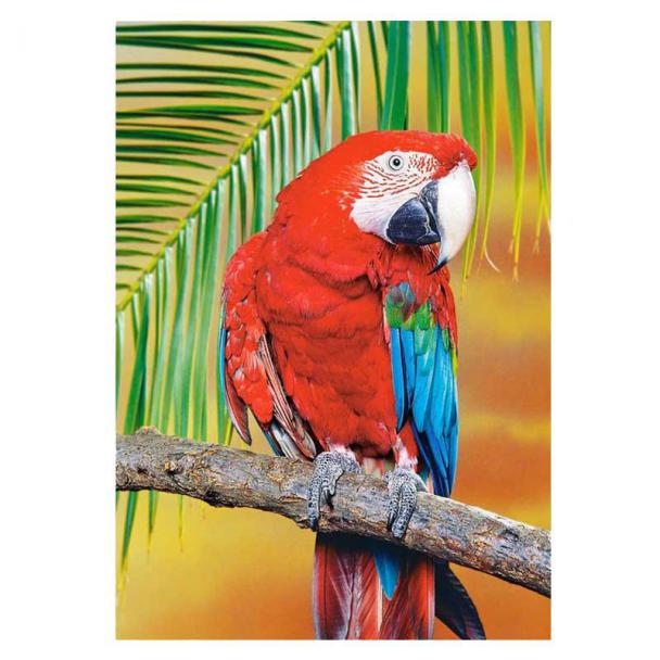 Puzzle 500 Piezas Guacamayo de Alas Verdes