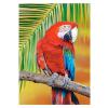 Puzzle 500 Piezas Guacamayo de Alas Verdes