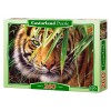 Puzzle 260 Piezas Tigre Bosque Esmeralda