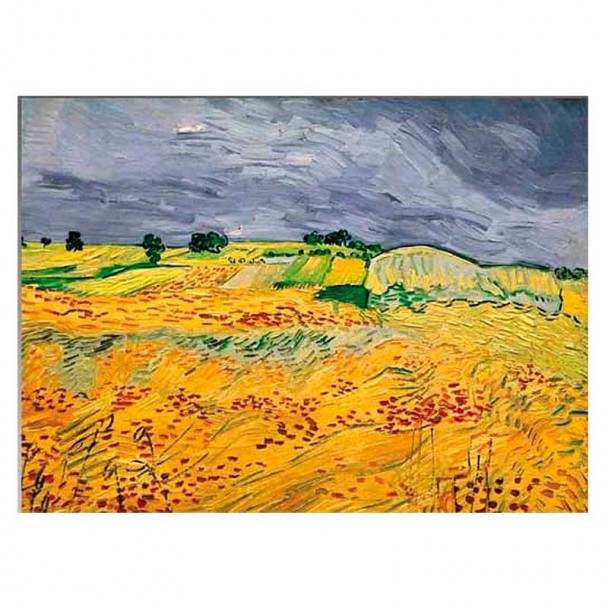 Puzzle 1000 Campos de Trigo