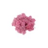 Musgo Rosa